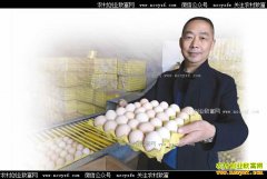 ���콭���޺��Զ����豸����Ч���