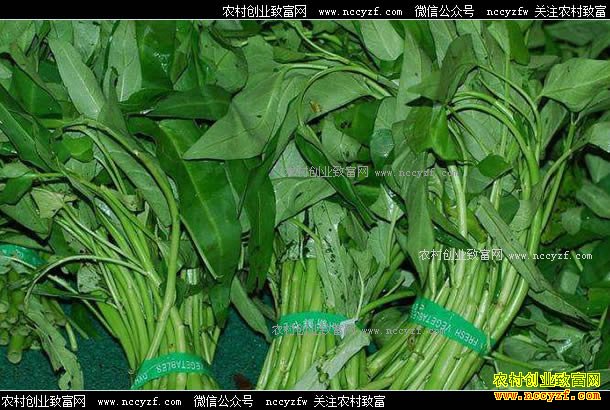 �����ϴ��ٲ����� �۸�ÿ��6Ԫ