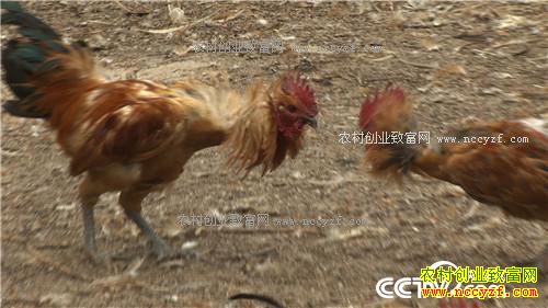 �¸�����׬Ǯ�Ϳ��� ͺ�� ���⼦(20170426)