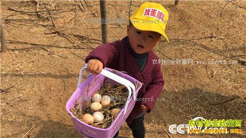 �¸�����׬Ǯ�Ϳ��� ͺ�� ���⼦(20170426)