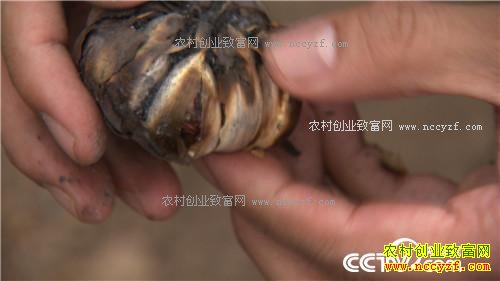 �¸�����׬Ǯ�Ϳ��� ͺ�� ���⼦(20170426)