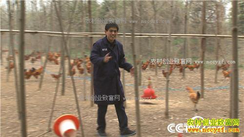 �¸�����׬Ǯ�Ϳ��� ͺ�� ���⼦(20170426)