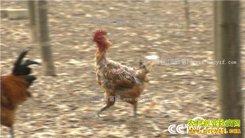 �¸�����׬Ǯ�Ϳ��� ͺ�� ���⼦(20170426)