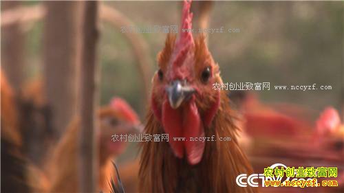 �¸�����׬Ǯ�Ϳ��� ͺ�� ���⼦(20170426)