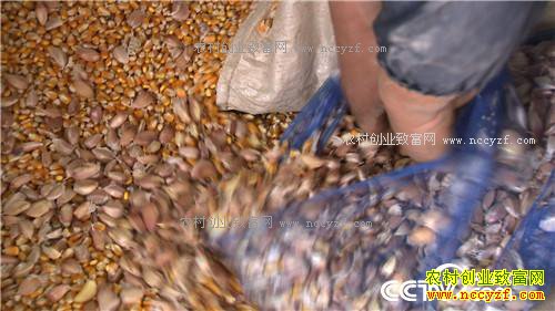 �¸�����׬Ǯ�Ϳ��� ͺ�� ���⼦(20170426)