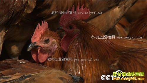 �¸�����׬Ǯ�Ϳ��� ͺ�� ���⼦(20170426)