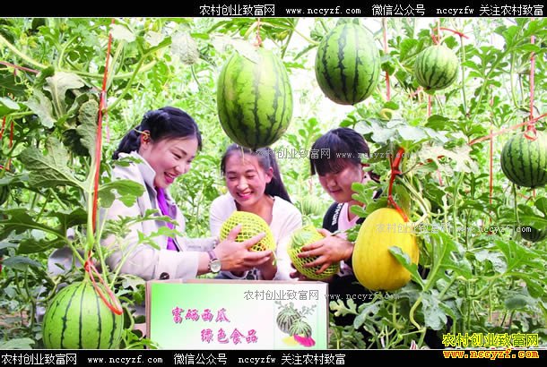 ɽ����ˮ�أ���ֲ��������Ķ����������Ԫ