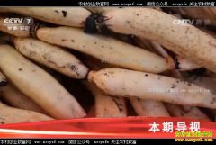 [�Ƽ�Է]������ƽ���������ź������̬�����ǻ�