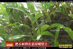 [�Ƽ�Է]�㶫������־ϼ�ѽ���ʯ�����������ͱ���