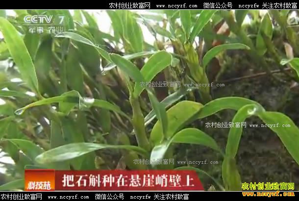 [�Ƽ�Է]��ʯ�����������ͱ��� 20170426