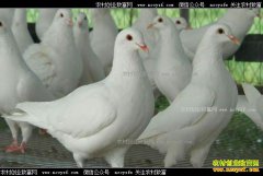 ����������ѧ���������紴ҵ��ֳ��봴ҵ�¸�