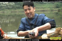 [�¸���]������ɽ��������������ֳ�t����׬ǧ��