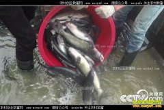 [�¸���]�����ڰ������Ŀ���ֳ�ӱ���׬ǧ��Ƹ�