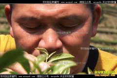 [�¸���]������Ϫ�½𷢿���������ѿ�������������ǧ����