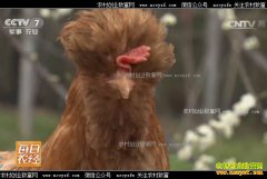 [ÿ��ũ��]�㽭������Ĺ�͢�Ƽ��ɳ���