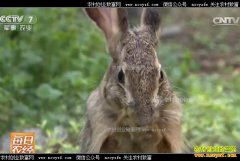 [ÿ��ũ��]������Ϫ��־ΰ��ֳ�ӽ�ɽҰ�ó�������