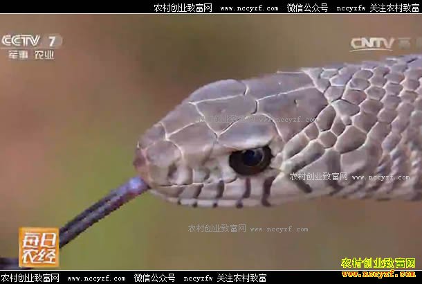 [ÿ��ũ��]�����̻� ������������ 20170424