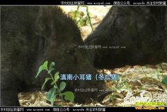 [�¸���]Ѱ��̳������ٷ��ַǷ��������Ƹ�