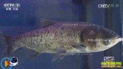 [ÿ��ũ��]һ��˫��������������