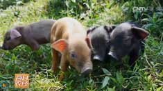 [ÿ��ũ��]�����Ͳ���������������Ӯ��