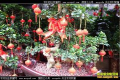 �����г����飺���ܼ۸�ع����� �����Ȳ�����