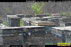 [ũ�����]�������ش�ѧ�����峬�ŷ����䴴��Ƹ�