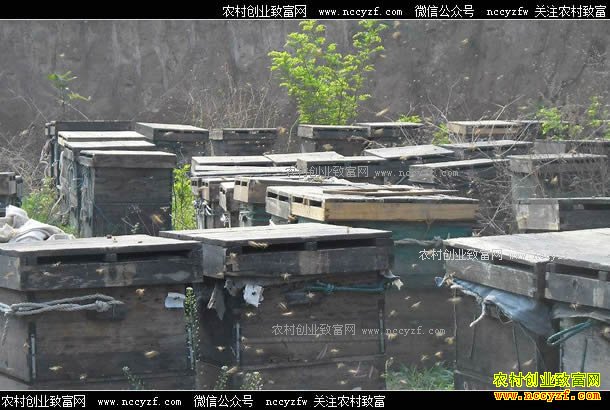 [ũ�����]��ѧ���ŷ����䴴�Ƹ� 20170508