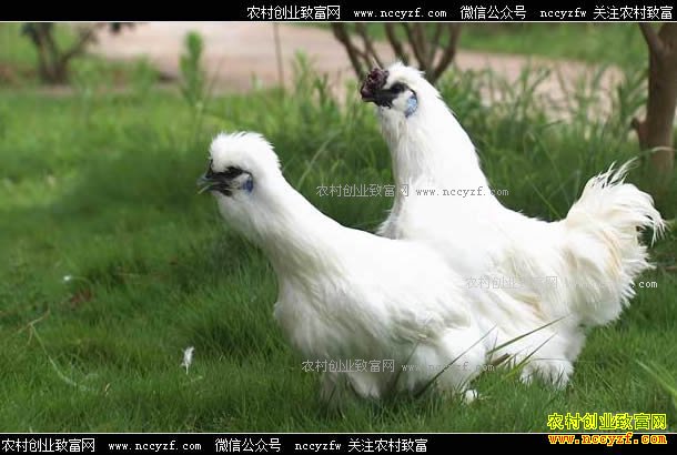 [�¸���]����̩����������ֳ�ڼ��Ŀ��ֲƸ�