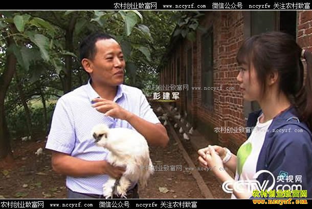 [�¸���]����̩����������ֳ�ڼ��Ŀ��ֲƸ�