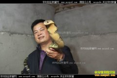 [�¸���]���ϳ�ɳ���ι���ֳ��������ǧ��Ԫ