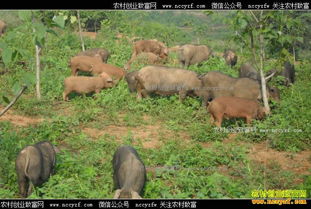 ����®��������̬���������¸�·