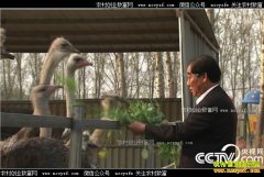 [�¸���]����72�����˳�ƽ�����δ�ҵ��ֳ����