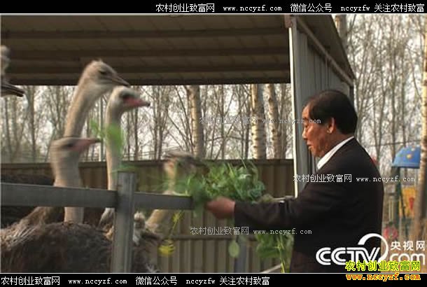 [�¸���]����72�����˳�ƽ�����δ�ҵ��ֳ����