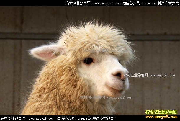 [�¸���]����72�����˳�ƽ�����δ�ҵ��ֳ����