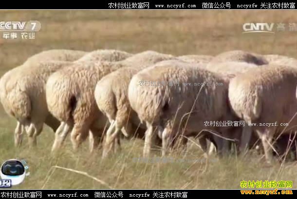 [�Ƽ�Է]������������ �ֳ����������� 20170503