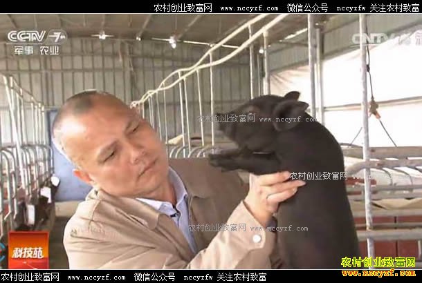 [�Ƽ�Է]��ϡ��ס�����ĺ���