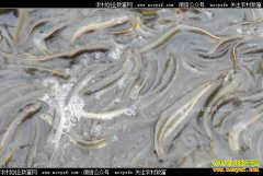 ɽ��������������������ˮ������������