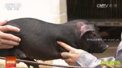 [�Ƽ�Է]��ϡ��ס�����ĺ���