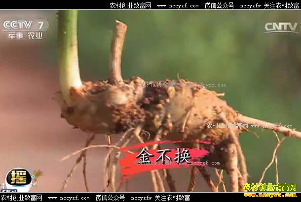 �Ƽ�Է�����⼼��������������������