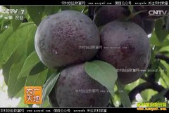 [ũ�����]�������༼����Ƶ