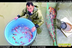 �㽭���ֳ�����ֳ�����㴴ҵ�¸�