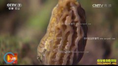 [�Ƽ�Է]�Ĵ��ന�ػƴ���Ѫƴ�����Ϊ��Ǿ�