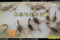 [ũ�����]ɽ��������������Ы������Ы��