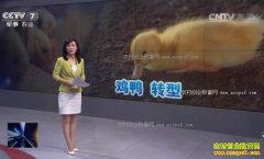 [�۽���ũ]��ֳ��ҵת����������� ������ֳ·�ںη�