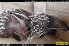 ���Ͻ��������������������¸�·