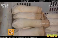 [ũ�����]ɽ�����ܵ�ΰ�����ӱ������׬Ǯ