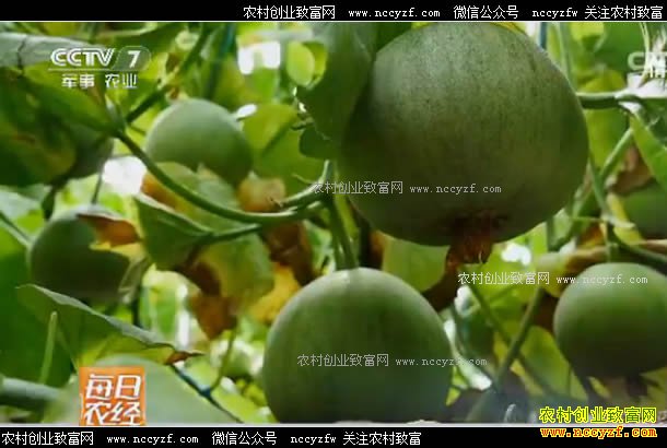 [ÿ��ũ��]����ġ���������ǰ�� 20170516