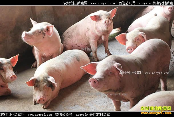 ���������۸��ơ�7�� �����ѽ�����