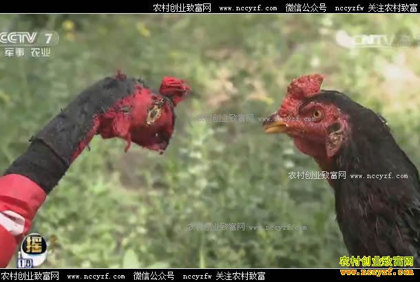 [ÿ��ũ��]ɽ����ɽ����ܵļ���Ǯ׬