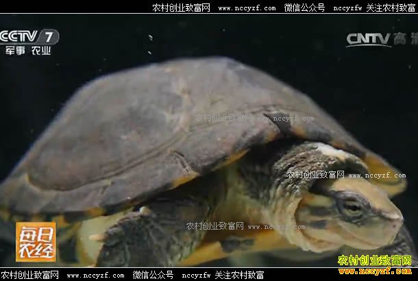 [ÿ��ũ��]�㶫��ݸ�������ݶ��ϵ�ʯ��Ǯ���׬Ǯ